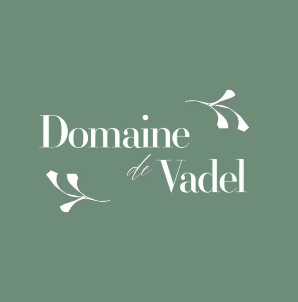 Villa Domaine De Vadel Veilhes